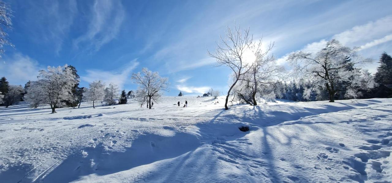 Pistenblume Apartment - Skipiste, Stadtzentrum Winterberg Zewnętrze zdjęcie