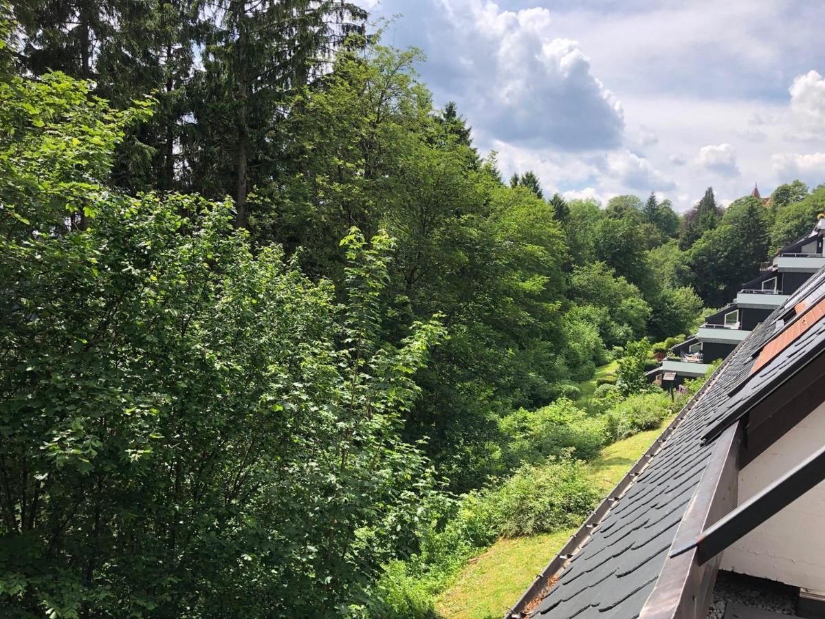 Pistenblume Apartment - Skipiste, Stadtzentrum Winterberg Zewnętrze zdjęcie